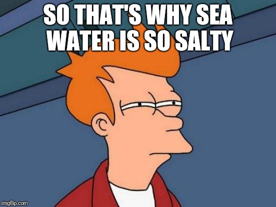Futurama Fry Meme | SO THAT'S WHY SEA WATER IS SO SALTY | image tagged in memes,futurama fry | made w/ Imgflip meme maker