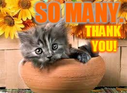 SO MANY. THANK YOU! | made w/ Imgflip meme maker