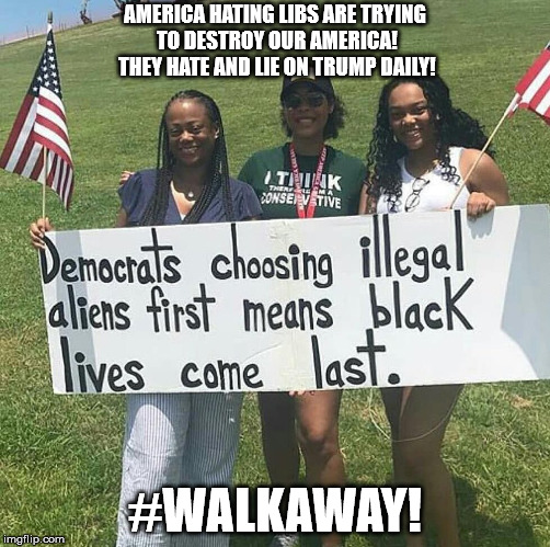 AMERICA HATING LIBS ARE TRYING TO DESTROY OUR AMERICA! THEY HATE AND LIE ON TRUMP DAILY! #WALKAWAY! | image tagged in walkaway | made w/ Imgflip meme maker