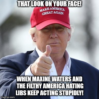 Maxine Waters | THAT LOOK ON YOUR FACE! WHEN MAXINE WATERS AND THE FILTHY AMERICA HATING LIBS KEEP ACTING STUPIDLY! | image tagged in maxine waters | made w/ Imgflip meme maker