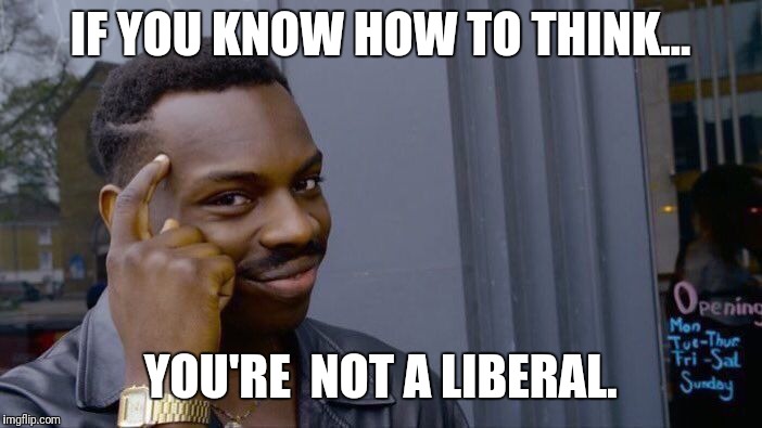 Roll Safe Think About It Meme | IF YOU KNOW HOW TO THINK... YOU'RE  NOT A LIBERAL. | image tagged in memes,roll safe think about it | made w/ Imgflip meme maker