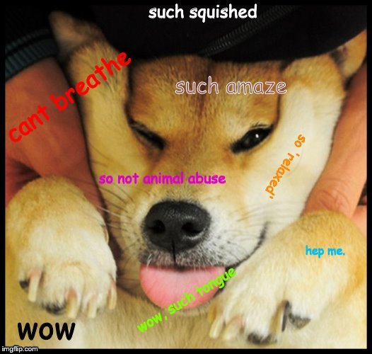 DOGE part 2?? | image tagged in doge,such wow,oh wow are you actually reading these tags | made w/ Imgflip meme maker