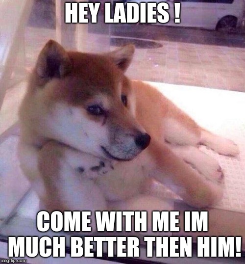 im way better | HEY LADIES ! COME WITH ME IM MUCH BETTER THEN HIM! | image tagged in flirting doge,come with me,much come | made w/ Imgflip meme maker