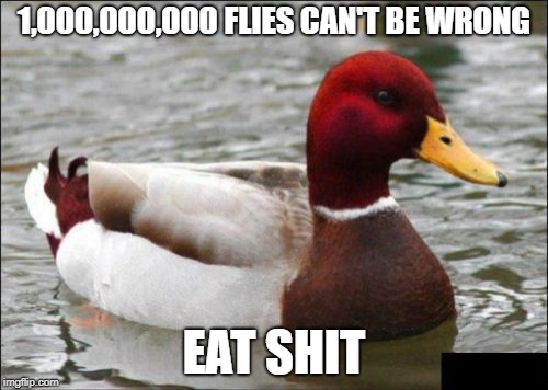 Inspired by the front page | 1,000,000,000 FLIES CAN'T BE WRONG; EAT SHIT | image tagged in memes,malicious advice mallard,nsfw | made w/ Imgflip meme maker
