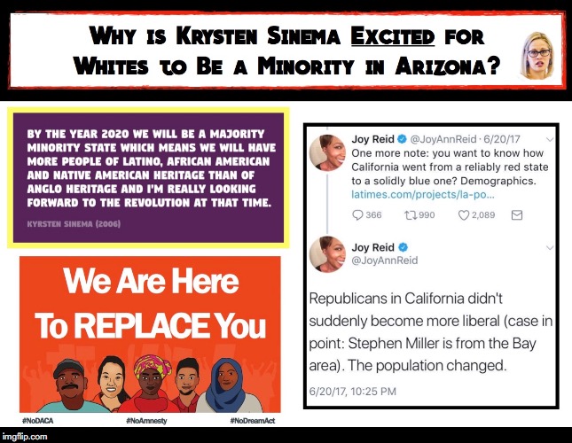 Kyrsten Simena Radical Democrat, Arizona Senate Candidate, Excited to Replace White People with Immigrants. meme | image tagged in racist,kyrsten sinema,arizona,illegal immigration,demographics,joy reid | made w/ Imgflip meme maker