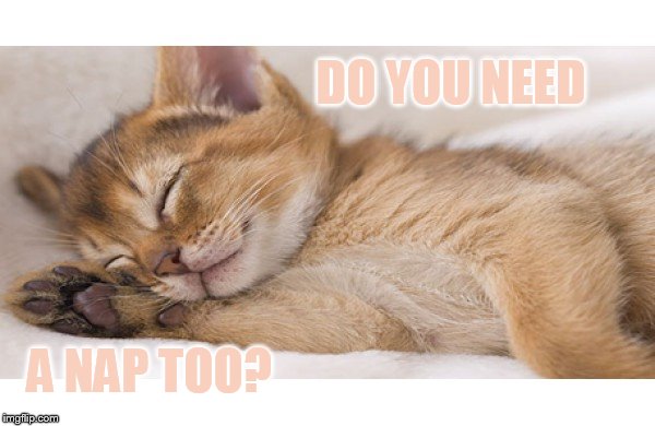 DO YOU NEED A NAP TOO? | made w/ Imgflip meme maker