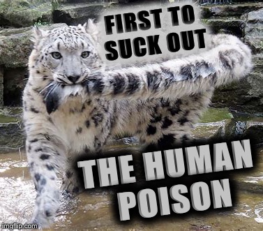 FIRST TO SUCK OUT THE HUMAN POISON | made w/ Imgflip meme maker