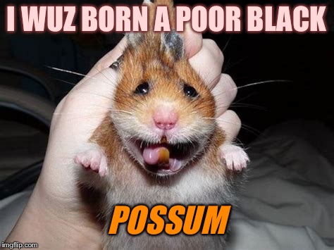 I WUZ BORN A POOR BLACK POSSUM | made w/ Imgflip meme maker