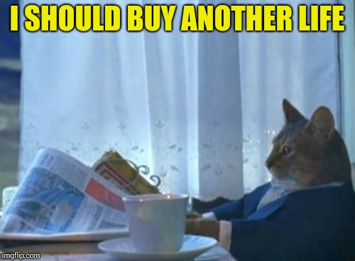 I Should Buy A Boat Cat Meme | I SHOULD BUY ANOTHER LIFE | image tagged in memes,i should buy a boat cat | made w/ Imgflip meme maker