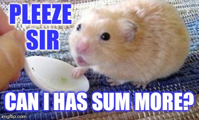 PLEEZE SIR CAN I HAS SUM MORE? | made w/ Imgflip meme maker