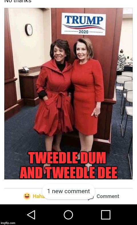 TWEEDLE DUM AND TWEEDLE DEE | image tagged in maxine and pelosi | made w/ Imgflip meme maker