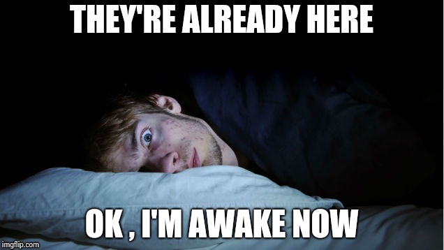 Night Terror | THEY'RE ALREADY HERE OK , I'M AWAKE NOW | image tagged in night terror | made w/ Imgflip meme maker