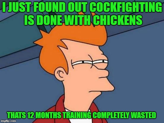 i just found out | I JUST FOUND OUT COCKFIGHTING IS DONE WITH CHICKENS; THATS 12 MONTHS TRAINING COMPLETELY WASTED | image tagged in memes,futurama fry | made w/ Imgflip meme maker