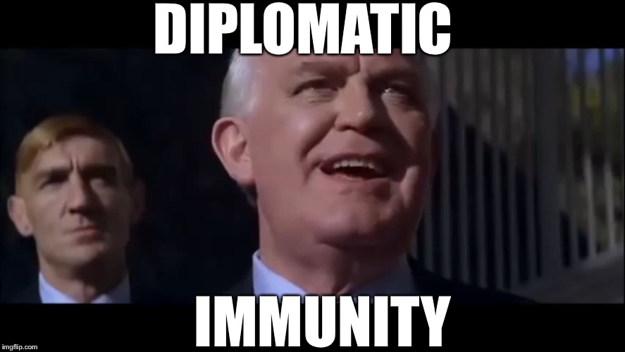 Pick them up with your hands | DIPLOMATIC; IMMUNITY | image tagged in kurgeran,folstod,bloody buggers,lethal memes | made w/ Imgflip meme maker