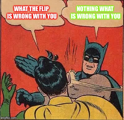 Batman Slapping Robin Meme | WHAT THE FLIP IS WRONG WITH YOU; NOTHING WHAT IS WRONG WITH YOU | image tagged in memes,batman slapping robin | made w/ Imgflip meme maker
