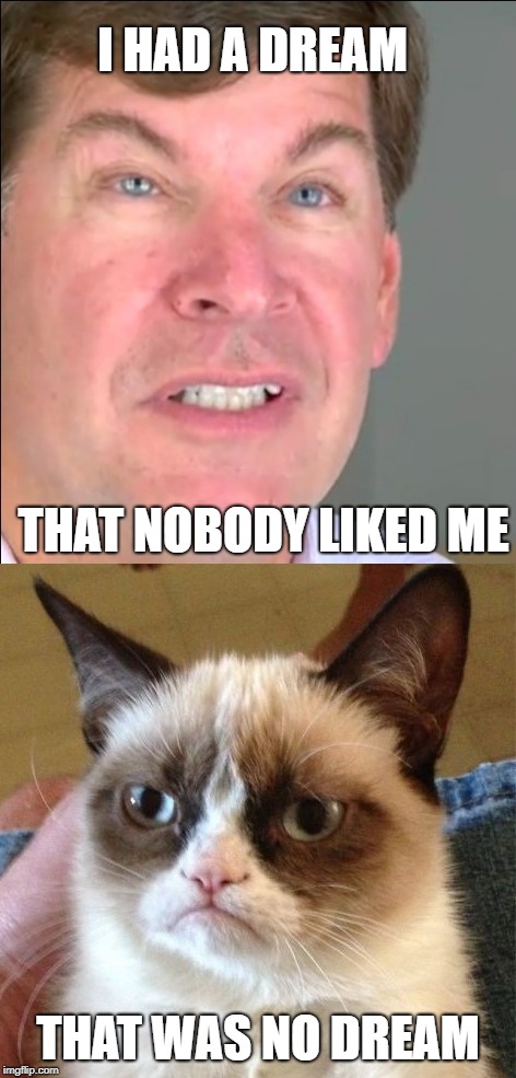 Life is but a dream | I HAD A DREAM; THAT NOBODY LIKED ME; THAT WAS NO DREAM | image tagged in funny memes,grumpy cat,who cares | made w/ Imgflip meme maker