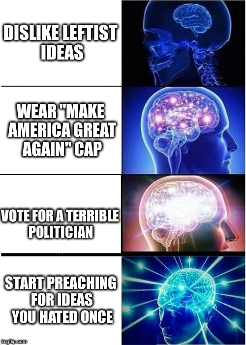 Expanding Brain Meme | DISLIKE LEFTIST IDEAS; WEAR "MAKE AMERICA GREAT AGAIN" CAP; VOTE FOR A TERRIBLE POLITICIAN; START PREACHING FOR IDEAS YOU HATED ONCE | image tagged in memes,expanding brain | made w/ Imgflip meme maker