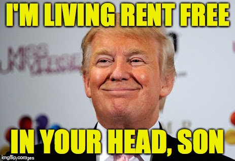 Donald Trump Winning - Rent Free | I'M LIVING RENT FREE; IN YOUR HEAD, SON | image tagged in donald trump approves,rent free,winning,donald trump,trump derangement syndrome | made w/ Imgflip meme maker