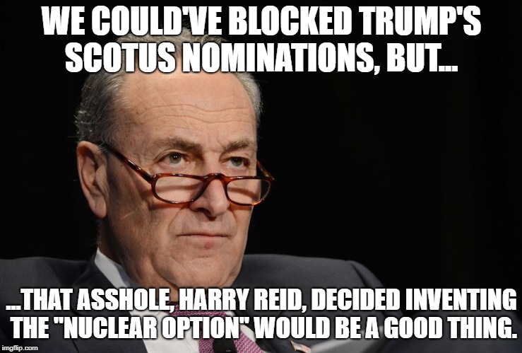 WE COULD'VE BLOCKED TRUMP'S SCOTUS NOMINATIONS, BUT... ...THAT ASSHOLE, HARRY REID, DECIDED INVENTING THE "NUCLEAR OPTION" WOULD BE A GOOD THING. | image tagged in harry and the nuclear option | made w/ Imgflip meme maker