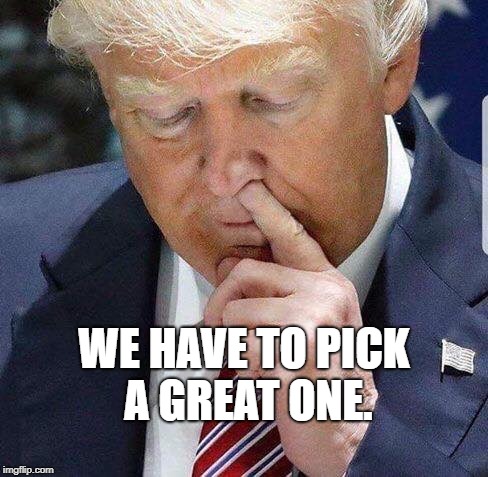 Trump finger bang | WE HAVE TO PICK A GREAT ONE. | image tagged in trump finger bang | made w/ Imgflip meme maker