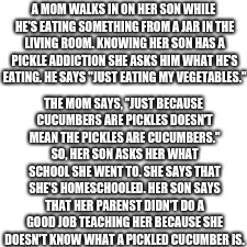 Pickles... | A MOM WALKS IN ON HER SON WHILE HE'S EATING SOMETHING FROM A JAR IN THE LIVING ROOM. KNOWING HER SON HAS A PICKLE ADDICTION SHE ASKS HIM WHAT HE'S EATING. HE SAYS "JUST EATING MY VEGETABLES."; THE MOM SAYS, "JUST BECAUSE CUCUMBERS ARE PICKLES DOESN'T MEAN THE PICKLES ARE CUCUMBERS." SO, HER SON ASKS HER WHAT SCHOOL SHE WENT TO. SHE SAYS THAT SHE'S HOMESCHOOLED. HER SON SAYS THAT HER PARENST DIDN'T DO A GOOD JOB TEACHING HER BECAUSE SHE DOESN'T KNOW WHAT A PICKLED CUCUMBER IS. | image tagged in memes,funny,pickles,home schooled | made w/ Imgflip meme maker