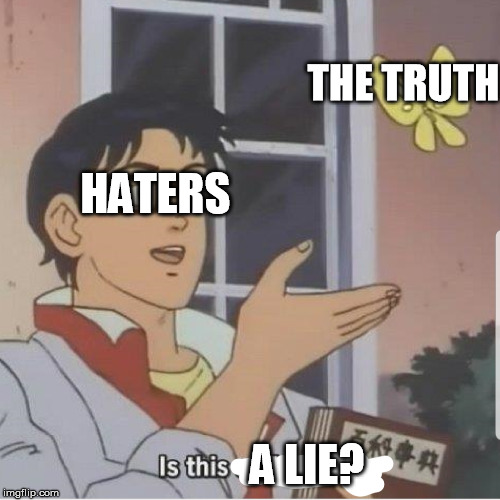 haters | THE TRUTH; HATERS; A LIE? | image tagged in haters,haters gonna hate | made w/ Imgflip meme maker