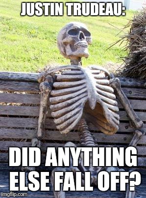 Canadian Prime Minister Justin Trudeau asks: | JUSTIN TRUDEAU:; DID ANYTHING ELSE FALL OFF? | image tagged in memes,waiting skeleton,trudeau | made w/ Imgflip meme maker