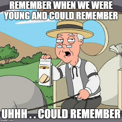 I'll have to finish this meme later when I can remember what my point was | REMEMBER WHEN WE WERE YOUNG AND COULD REMEMBER; UHHH . . COULD REMEMBER | image tagged in memes,pepperidge farm remembers | made w/ Imgflip meme maker