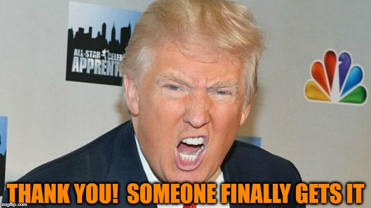 THANK YOU!  SOMEONE FINALLY GETS IT | image tagged in trump mad | made w/ Imgflip meme maker
