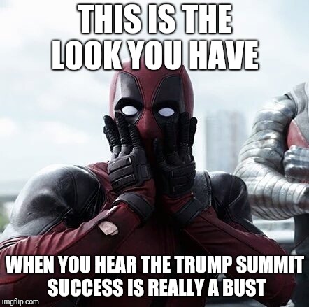 Deadpool Surprised Meme | THIS IS THE LOOK YOU HAVE; WHEN YOU HEAR THE TRUMP SUMMIT SUCCESS IS REALLY A BUST | image tagged in memes,deadpool surprised | made w/ Imgflip meme maker