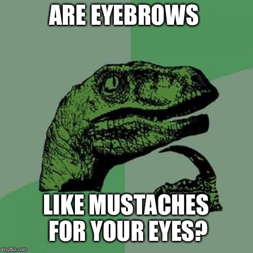Mind blown | ARE EYEBROWS; LIKE MUSTACHES FOR YOUR EYES? | image tagged in memes,philosoraptor,mustache,eye,eyebrows,mouth | made w/ Imgflip meme maker