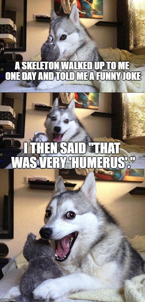 you must have a high IQ in health in order to understand this joke. | A SKELETON WALKED UP TO ME ONE DAY AND TOLD ME A FUNNY JOKE; I THEN SAID "THAT WAS VERY 'HUMERUS'." | image tagged in memes,bad pun dog,skeleton,humerus,hahaha end me | made w/ Imgflip meme maker