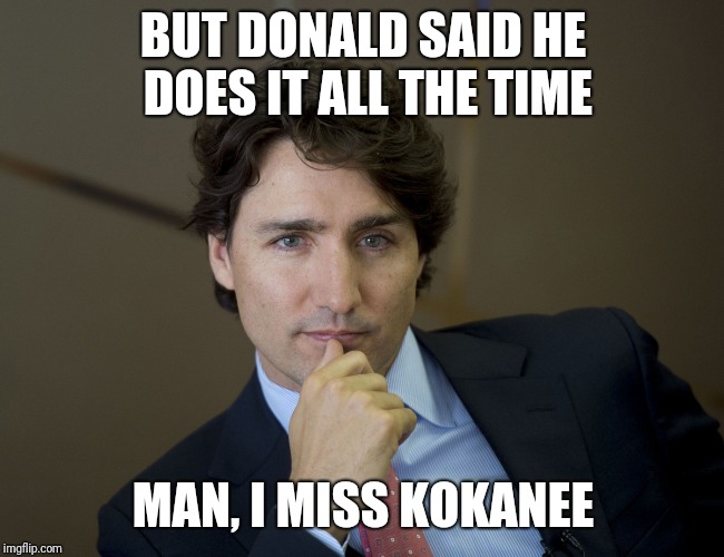 Justin Trudeau readiness | BUT DONALD SAID HE DOES IT ALL THE TIME; MAN, I MISS KOKANEE | image tagged in justin trudeau readiness | made w/ Imgflip meme maker