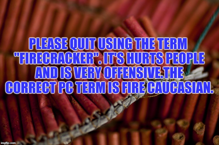 PLEASE QUIT USING THE TERM "FIRECRACKER". IT'S HURTS PEOPLE AND IS VERY OFFENSIVE.THE CORRECT PC TERM IS FIRE CAUCASIAN. | image tagged in firecracker,funny,memes,4th of july,politically correct,funny memes | made w/ Imgflip meme maker