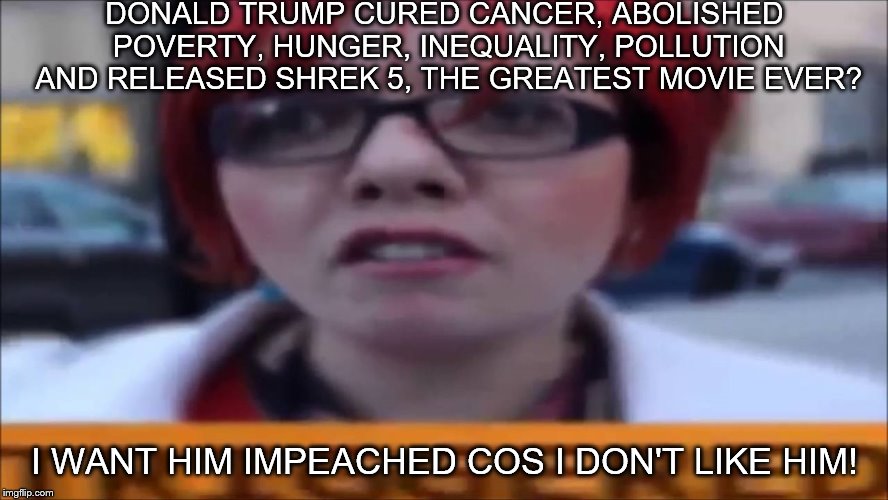 It might not happen in his terms... but I'm just making a point | DONALD TRUMP CURED CANCER, ABOLISHED POVERTY, HUNGER, INEQUALITY, POLLUTION AND RELEASED SHREK 5, THE GREATEST MOVIE EVER? I WANT HIM IMPEACHED COS I DON'T LIKE HIM! | image tagged in memes,triggered feminist,donald trump,feminazi | made w/ Imgflip meme maker
