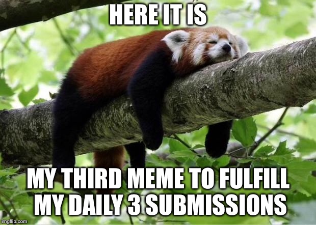 Gotta submit 3 or else get demoted to just 2 per day limit | HERE IT IS; MY THIRD MEME TO FULFILL MY DAILY 3 SUBMISSIONS | image tagged in lazy red panda,memes,imgflip,imgflip users,meanwhile on imgflip | made w/ Imgflip meme maker