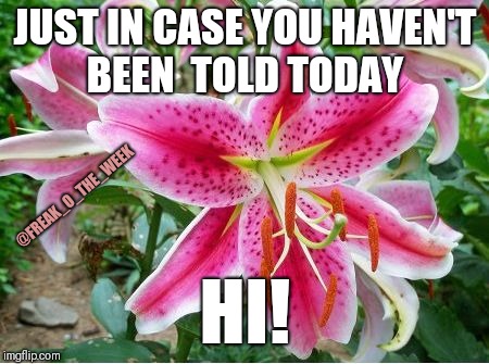 Flower | JUST IN CASE YOU HAVEN'T BEEN  TOLD TODAY; @FREAK_O_THE_WEEK; HI! | image tagged in flower | made w/ Imgflip meme maker