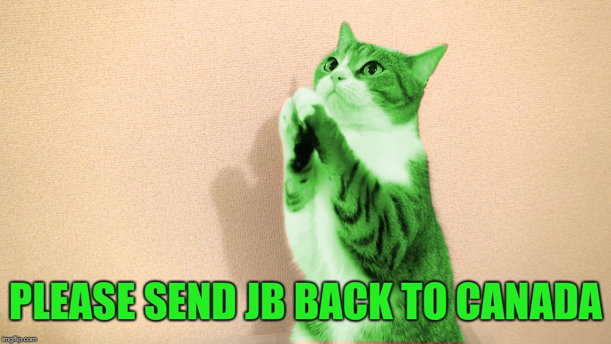 RayCat Pray | PLEASE SEND JB BACK TO CANADA | image tagged in raycat pray | made w/ Imgflip meme maker