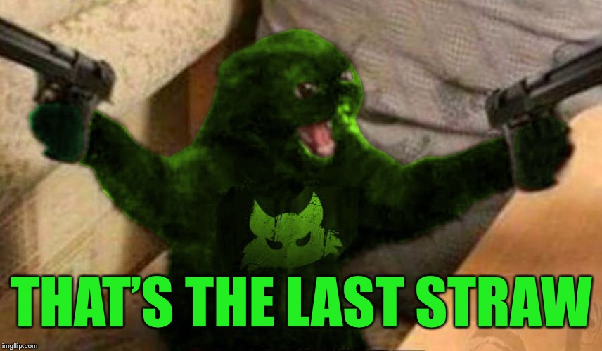 RayCat Angry | THAT’S THE LAST STRAW | image tagged in raycat angry | made w/ Imgflip meme maker