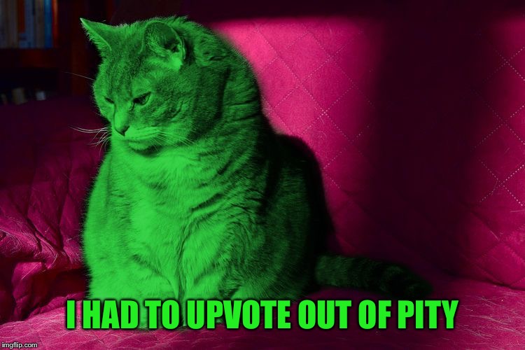 Cantankerous RayCat | I HAD TO UPVOTE OUT OF PITY | image tagged in cantankerous raycat | made w/ Imgflip meme maker