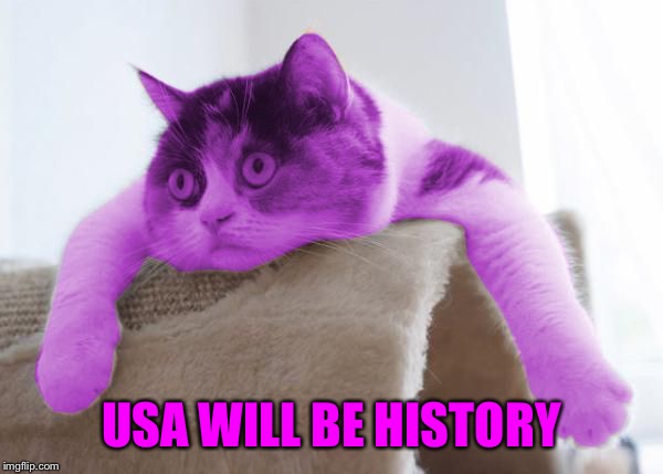 RayCat Stare | USA WILL BE HISTORY | image tagged in raycat stare | made w/ Imgflip meme maker