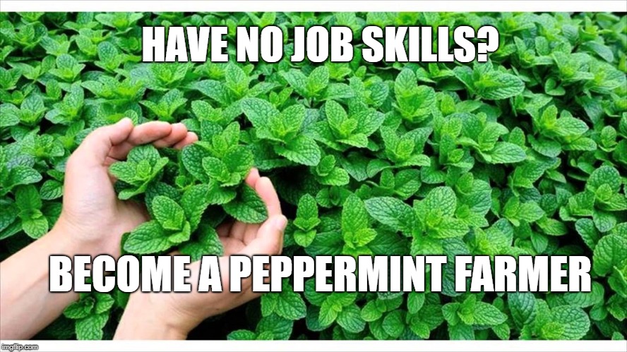 Gardeners will understand. | HAVE NO JOB SKILLS? BECOME A PEPPERMINT FARMER | image tagged in gardening | made w/ Imgflip meme maker