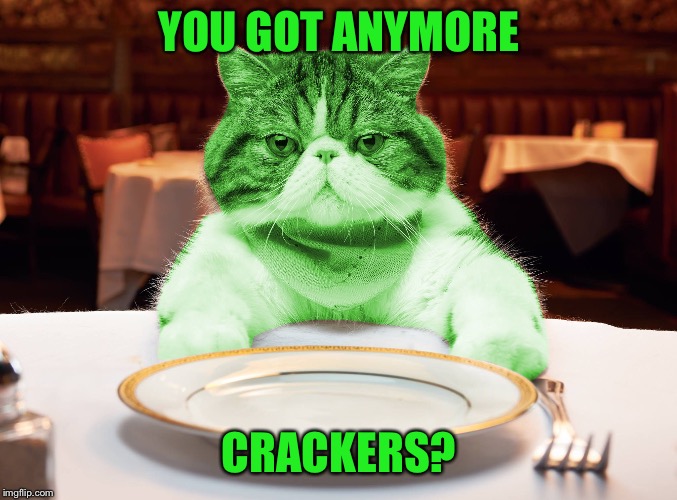 RayCat Hungry | YOU GOT ANYMORE CRACKERS? | image tagged in raycat hungry | made w/ Imgflip meme maker