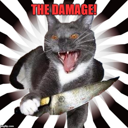THE DAMAGE! | made w/ Imgflip meme maker