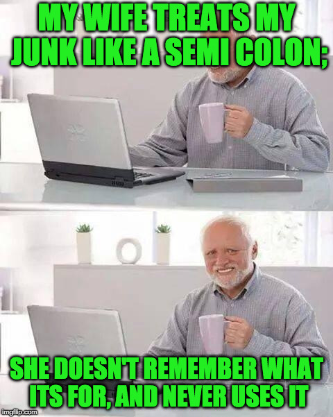 The Joys of Marriage | MY WIFE TREATS MY JUNK LIKE A SEMI COLON;; SHE DOESN'T REMEMBER WHAT ITS FOR, AND NEVER USES IT | image tagged in memes,hide the pain harold | made w/ Imgflip meme maker