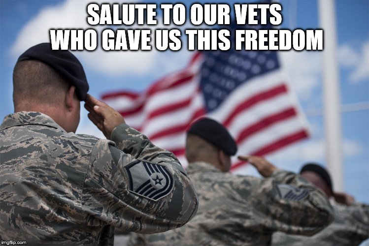 Salute and thank our troops | SALUTE TO OUR VETS WHO GAVE US THIS FREEDOM | image tagged in patriotism,salute | made w/ Imgflip meme maker
