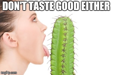 DON'T TASTE GOOD EITHER | made w/ Imgflip meme maker