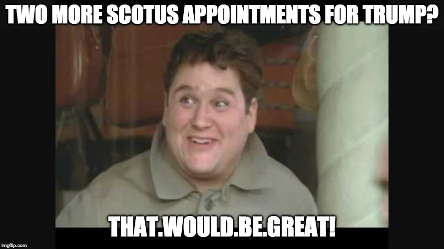 Flounder | TWO MORE SCOTUS APPOINTMENTS FOR TRUMP? THAT.WOULD.BE.GREAT! | image tagged in flounder | made w/ Imgflip meme maker