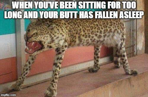 My butt falls asleep all the time whenever I make memes | WHEN YOU'VE BEEN SITTING FOR TOO LONG AND YOUR BUTT HAS FALLEN ASLEEP | image tagged in butt,asleep,sitting,ouch,stuffed animal | made w/ Imgflip meme maker