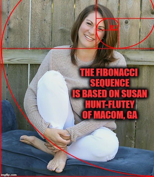 True Facts | THE FIBONACCI SEQUENCE IS BASED ON SUSAN HUNT-FLUTEY OF MACOM, GA | image tagged in fibonacci sequence,golden rectangle,bs,dad facts | made w/ Imgflip meme maker